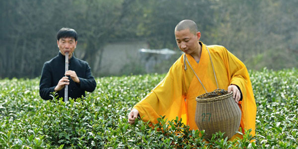 tea in Buddhist monasteries