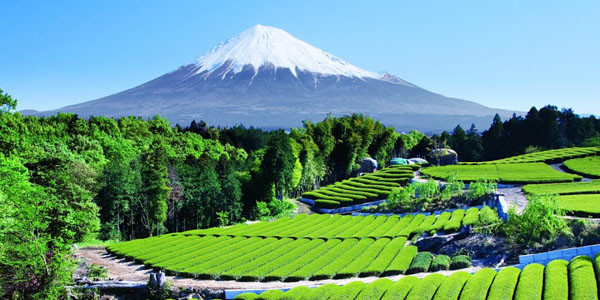 Mount Fuji in Japan