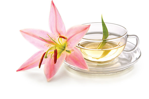 different classes of Chinese Tea - White tea